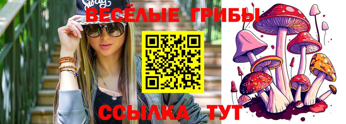 Хасавюрт  Псилоцибиновые грибы мицелий  Вход с VPN  что такое наркотик  Галлюциногенные грибы Psilocybine cubensis 